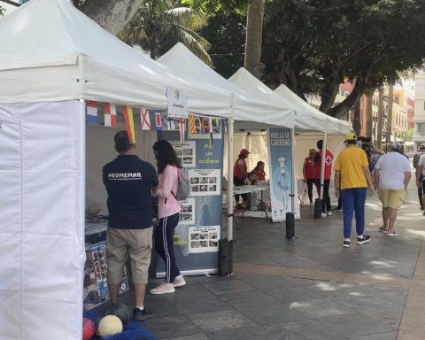 II Encuentro de Sostenibilidad en Puerto De la Cruz